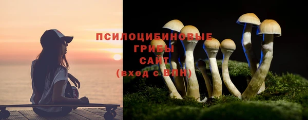 мескалин Арсеньев