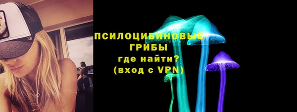 ГАЛЛЮЦИНОГЕННЫЕ ГРИБЫ Баксан