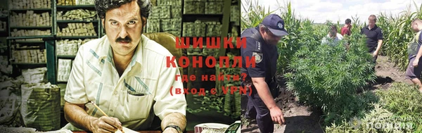 мет Балахна