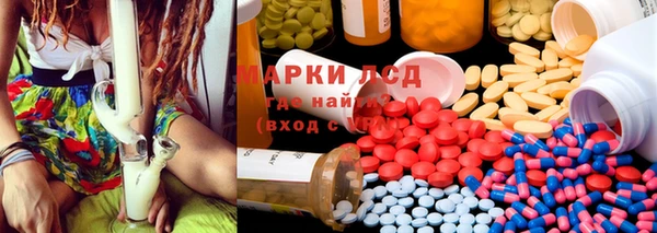 ГАЛЛЮЦИНОГЕННЫЕ ГРИБЫ Баксан