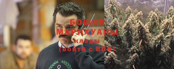 ГАЛЛЮЦИНОГЕННЫЕ ГРИБЫ Баксан